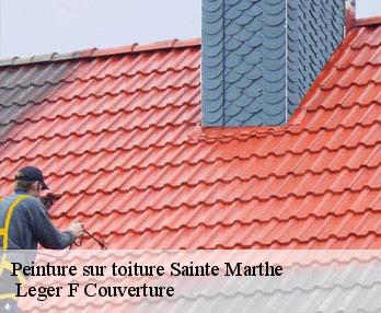 Peinture sur toiture 27190