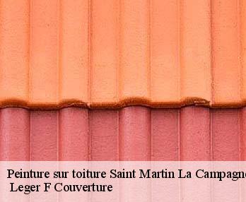 Peinture sur toiture