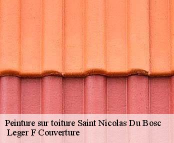 Peinture sur toiture