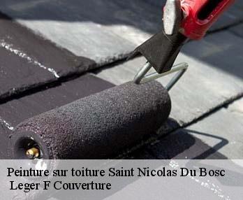 Peinture sur toiture  saint-nicolas-du-bosc-27370  Leger F Couverture