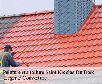 Peinture sur toiture  27370