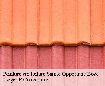 Peinture sur toiture