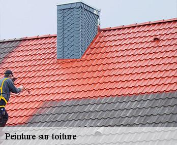 Peinture sur toiture