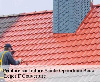 Peinture sur toiture  27110