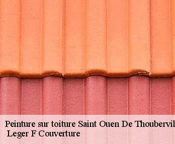 Peinture sur toiture