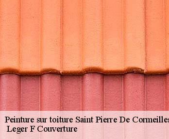 Peinture sur toiture