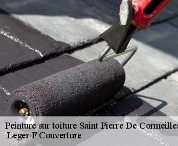 Peinture sur toiture saint-pierre-de-cormeilles-27260 Leger F Couverture