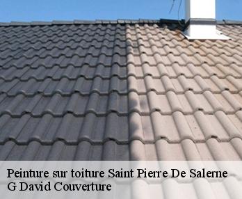 Peinture sur toiture