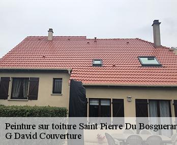 Peinture sur toiture  27370