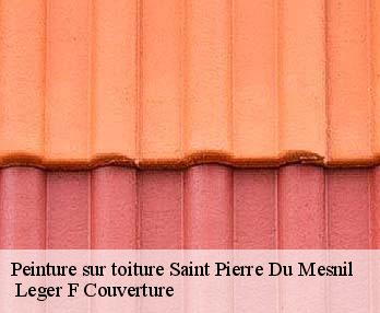 Peinture sur toiture
