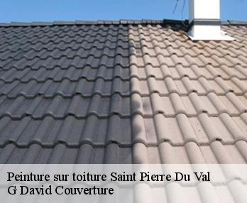 Peinture sur toiture