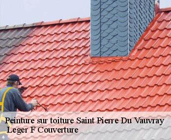 Peinture sur toiture 27430