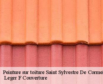 Peinture sur toiture
