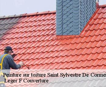Peinture sur toiture 27260