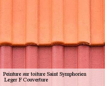 Peinture sur toiture