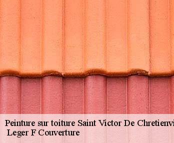 Peinture sur toiture