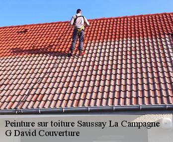 Peinture sur toiture saussay-la-campagne-27150 G David Couverture