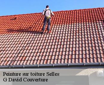 Peinture sur toiture  selles-27500 G David Couverture