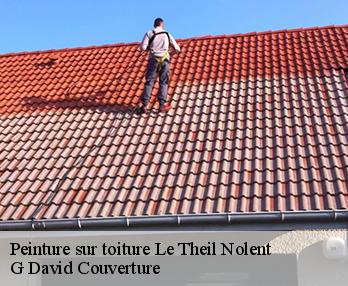 Peinture sur toiture le-theil-nolent-27230 G David Couverture