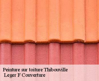 Peinture sur toiture