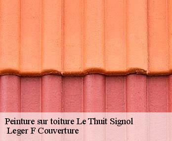 Peinture sur toiture