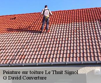 Peinture sur toiture  le-thuit-signol-27370 G David Couverture