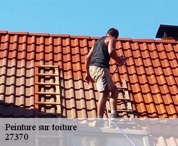 Peinture sur toiture  27370