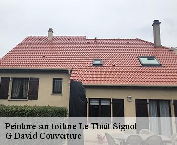 Peinture sur toiture  27370