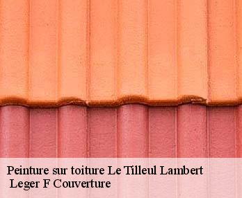 Peinture sur toiture
