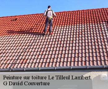Peinture sur toiture le-tilleul-lambert-27110 G David Couverture