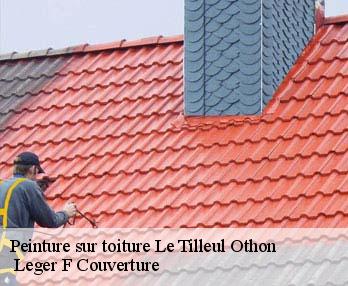 Peinture sur toiture  27170