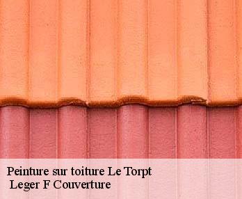 Peinture sur toiture