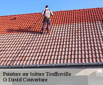 Peinture sur toiture touffreville-27440 G David Couverture