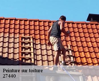 Peinture sur toiture 27440