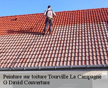 Peinture sur toiture  tourville-la-campagne-27370 G David Couverture