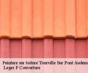 Peinture sur toiture