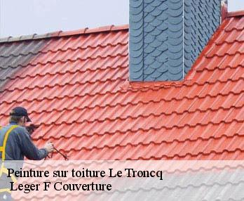 Peinture sur toiture 27110