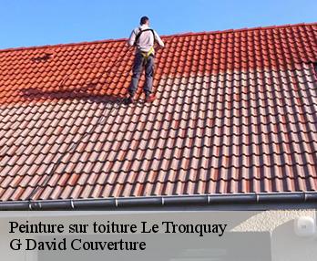 Peinture sur toiture le-tronquay-27480 G David Couverture