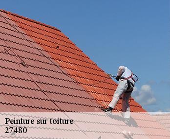 Peinture sur toiture 27480