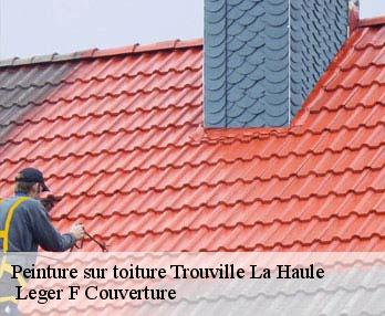 Peinture sur toiture  27680