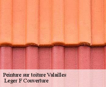Peinture sur toiture