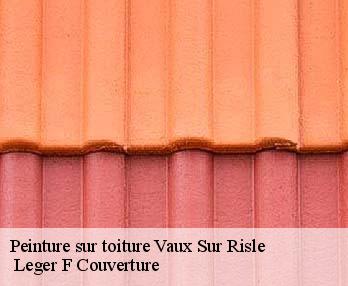 Peinture sur toiture