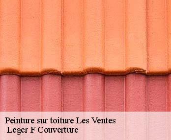 Peinture sur toiture