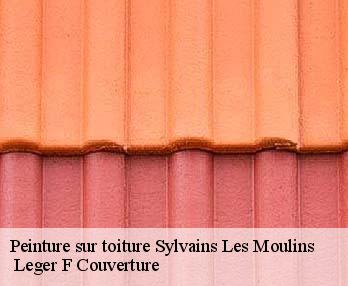 Peinture sur toiture