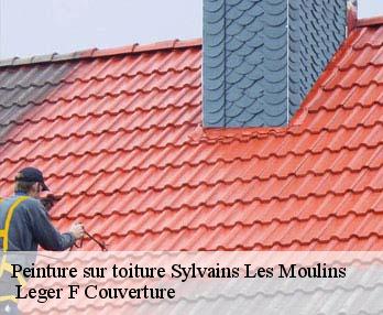 Peinture sur toiture  27240