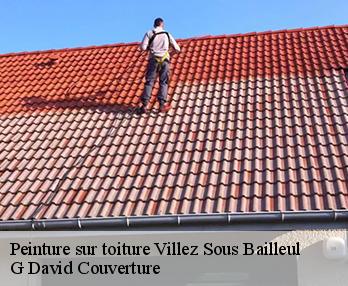 Peinture sur toiture villez-sous-bailleul-27950 G David Couverture