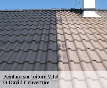 Peinture sur toiture