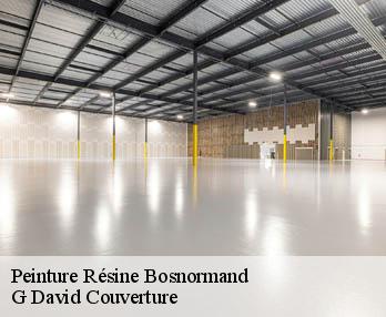 Peinture Résine bosnormand-27670 G David Couverture