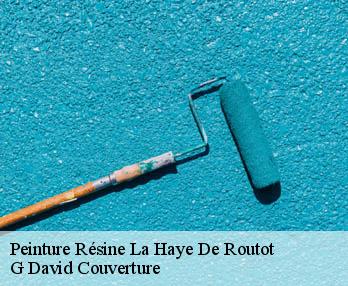 Peinture Résine  27350