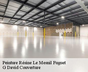 Peinture Résine le-mesnil-fuguet-27930 G David Couverture